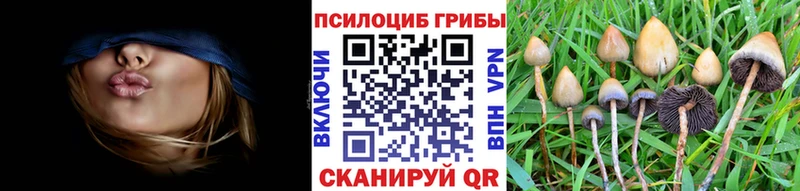 ОМГ ОМГ как войти  Балаково  Псилоцибиновые грибы Magic Shrooms  где найти наркотики 